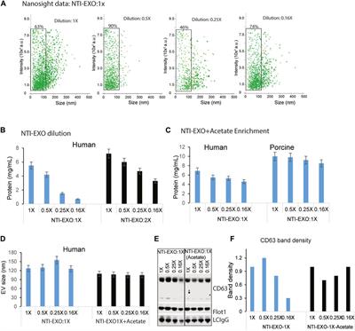 Enhanced enrichment of extracellular vesicles for laboratory and clinical research from drop-sized blood samples